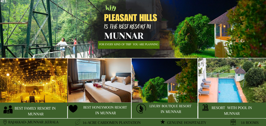 Pleasant hill munnar